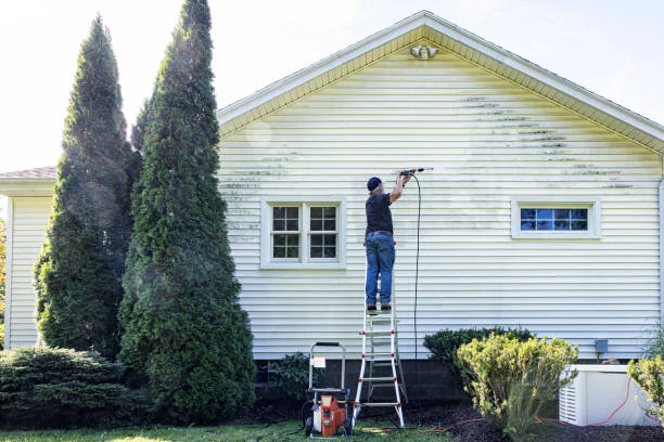 Boat and Dock Cleaning in Shelby, OH